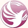 Phoenix Virtual Solutions Phoenix Virtual Solutions