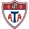 ATA American Taekwondo Association