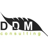 DDM Consulting