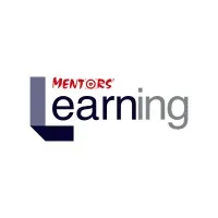 Mentors' Learning
