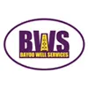 Bayou Well Services