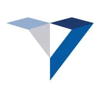 Venture Visionary Partners