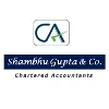SHAMBHU GUPTA & CO SHAMBHU GUPTA & CO