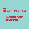 Cell Marque, a Part of MilliporeSigma Cell Marque, a Part of MilliporeSigma