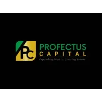 Profectus Capital Limited