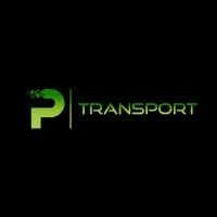 P TRANSPORT INC P TRANSPORT INC