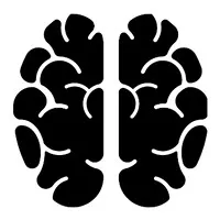 NeuralEd