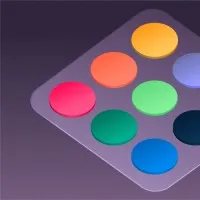 Palettehq.com 