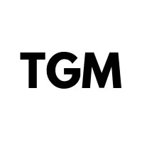 Triad Global Media