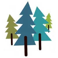 Camp Curiosity & Curiosity Academy