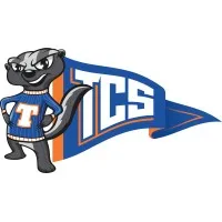 Tudor Collegiate Strategies