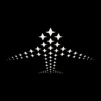 Interstellar Aviation