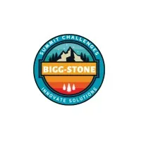 Bigg-Stone Solutions