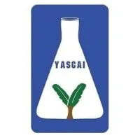 YASCAI AND FAMILY PLC
