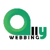 Ally Webbing Ally Webbing