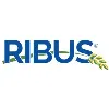 RIBUS, Inc. RIBUS, Inc.