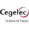 Cegelec Tertiaire IdF Fluides