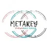 METAREY INTERNATIONAL