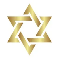 THE SHINE MEDIA