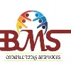 BMS Consulting Services BMS Consulting Services