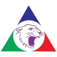 BRASPOR GRAFICA E EDITORA LTDA