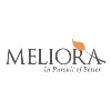 Meliora Technology, LLC Meliora Technology, LLC