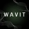 WAVIT Content Mavericks WAVIT Content Mavericks