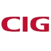 Cambridge Industries Group Cambridge Industries Group
