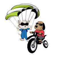 Lake Elsinore Animal Hospital