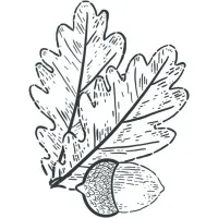 Archer Strategic Advisors PLLC