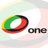 One Risk Group, LLC