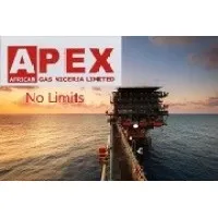Apex African Gas Nigeria Ltd
