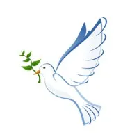 A Place for Mediation Inc