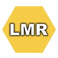 LMR web Solutions Pvt. Ltd.