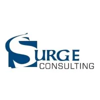 Surge Consulting, Inc. Surge Consulting, Inc.