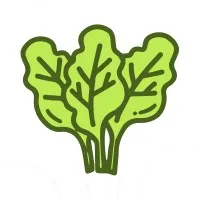 Spinach21