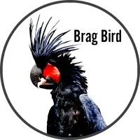 Bragbird