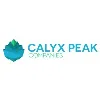 Calyx