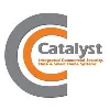 Catalyst Security Group Inc Catalyst Security Group Inc