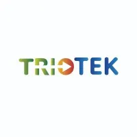 TRIOTEK IT INC