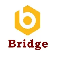 Bridge Auditors & Consultants Bridge Auditors & Consultants
