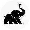 Wise Elephant