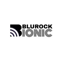 Blurock Ionic Blurock Ionic