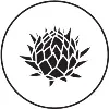 Protea Financial Protea Financial