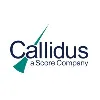 Callidus Welding Solutions Callidus Welding Solutions