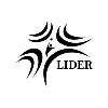 Lider Consultancy Services (P) Ltd Lider Consultancy Services (P) Ltd