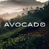 Avocado Green Brands Avocado Green Brands