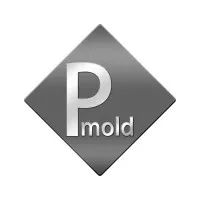 SHENZHEN PMOLD TECHNOLOGY LIMITED