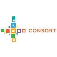 Consort Partners