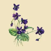 Eudaemonia Productions